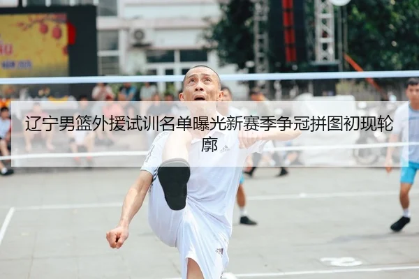辽宁男篮外援试训名单曝光新赛季争冠拼图初现轮廓
